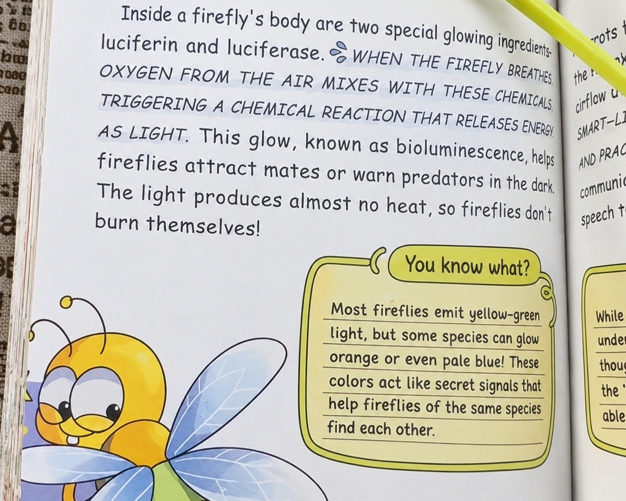 Real Answers Plus Bonus