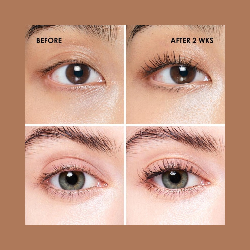 Before and after two weeks of lash serum use, lashes and brows