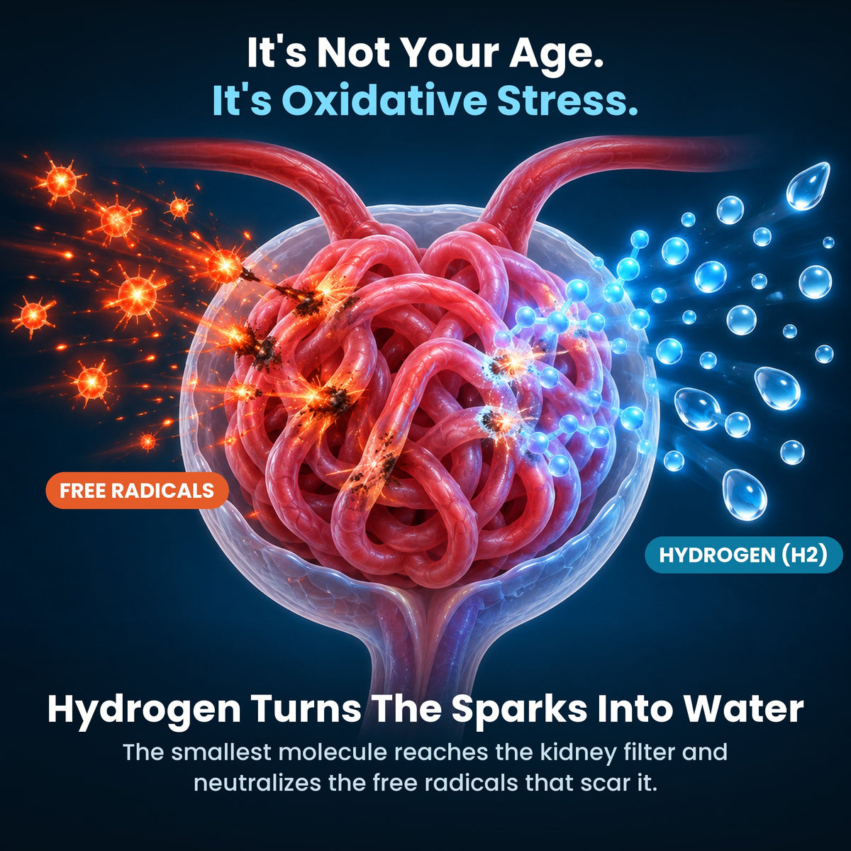 It's Not Your Age. It's Oxidative Stress.